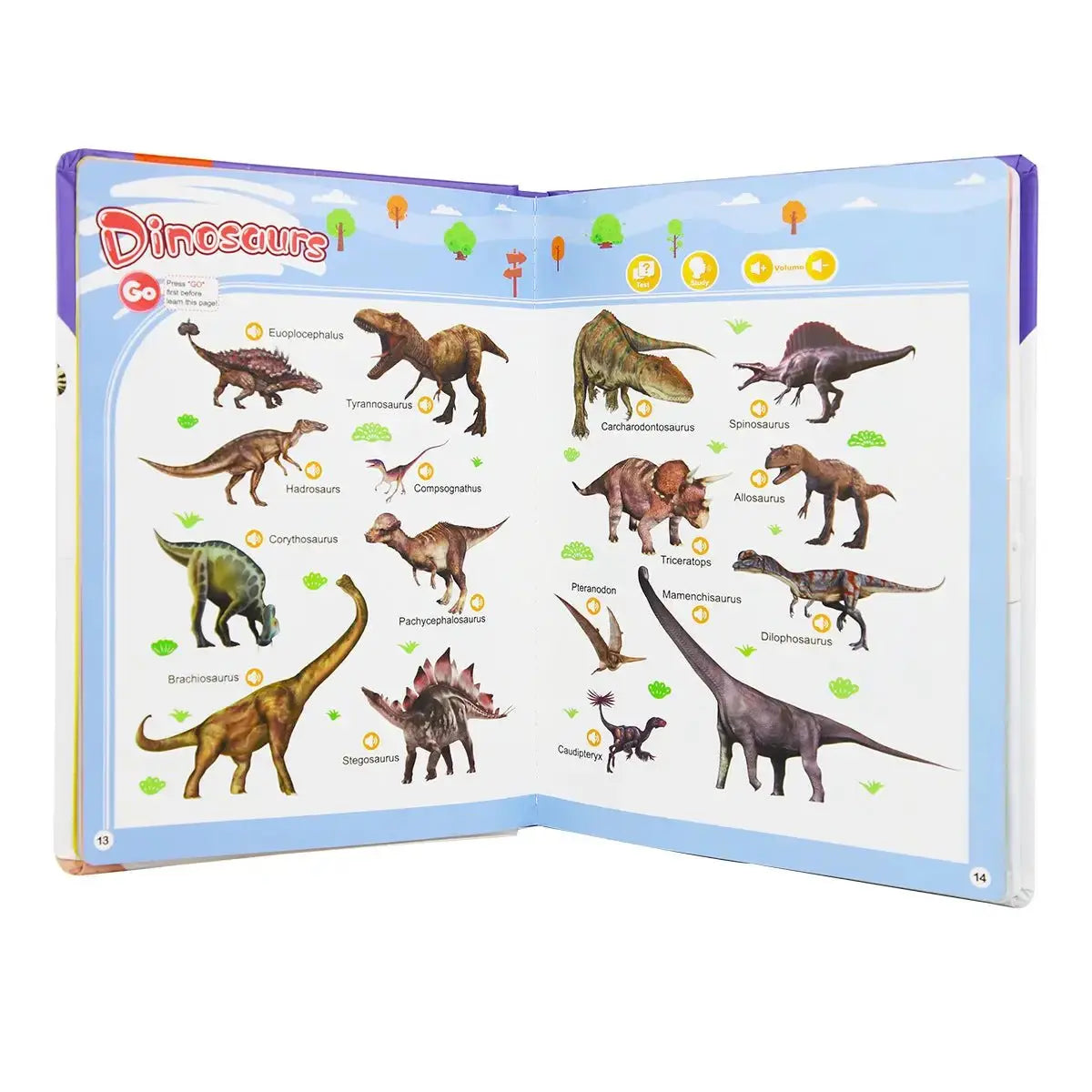 Interactive Learning Book for Kids - Touch & Read Toy by TED