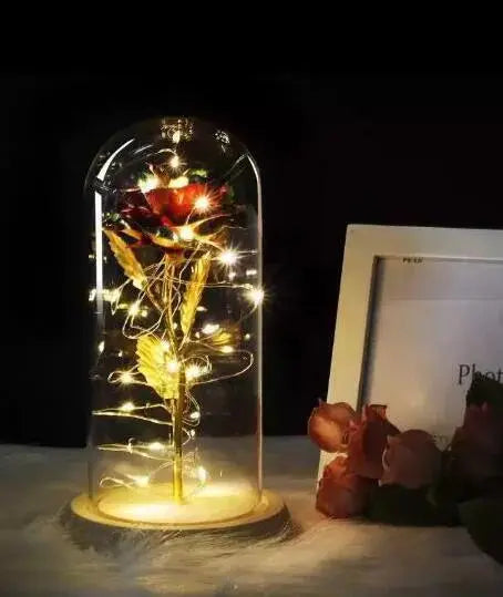 Forever Rose in Glass Dome with LED Lights | Romantic Valentine’s & Mother’s Day Gift by EPR