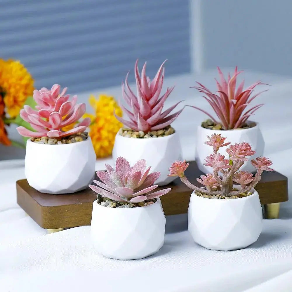 Mini Artificial Succulent Plant | Realistic Faux Desktop Home & Office Decor by TED