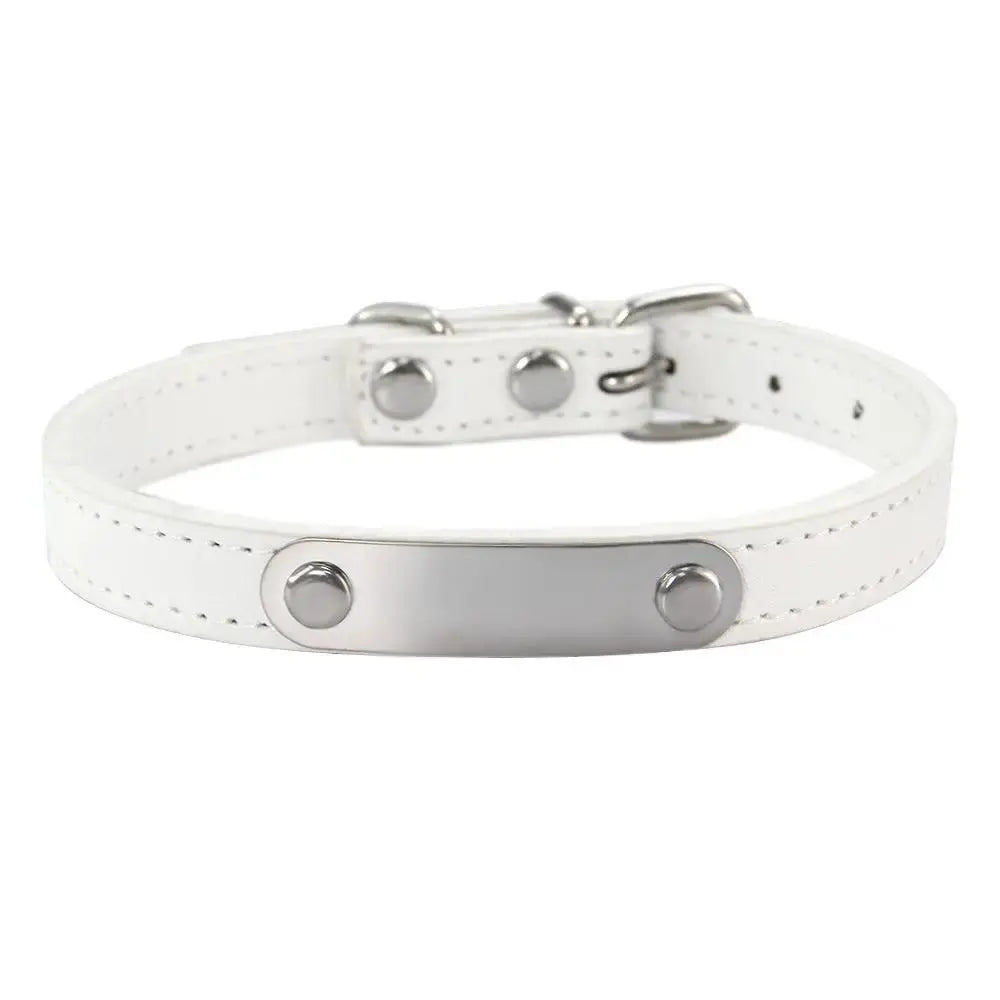 Personalized Engraved Pet Collar | Custom Name Collar for Dogs & Cats by TED