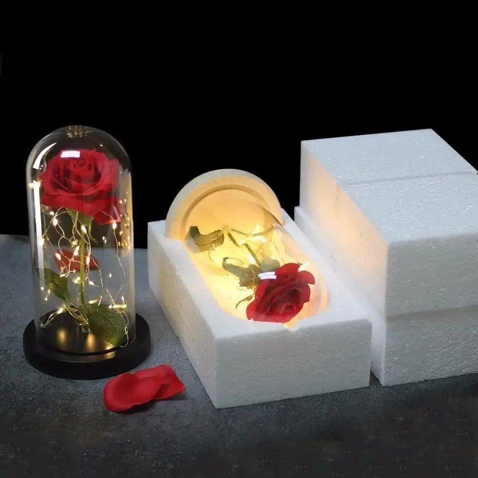 Forever Rose in Glass Dome with LED Lights | Romantic Valentine’s & Mother’s Day Gift by EPR