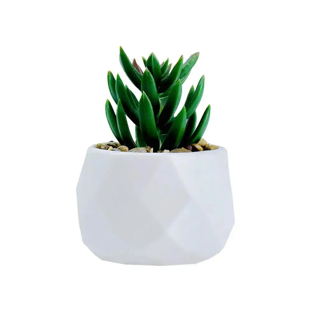 Mini Artificial Succulent Plant | Realistic Faux Desktop Home & Office Decor by TED