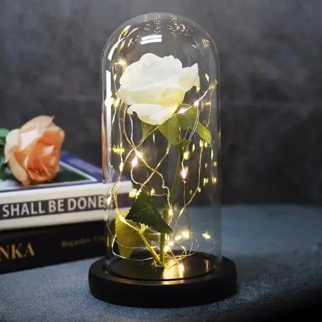 Forever Rose in Glass Dome with LED Lights | Romantic Valentine’s & Mother’s Day Gift by EPR