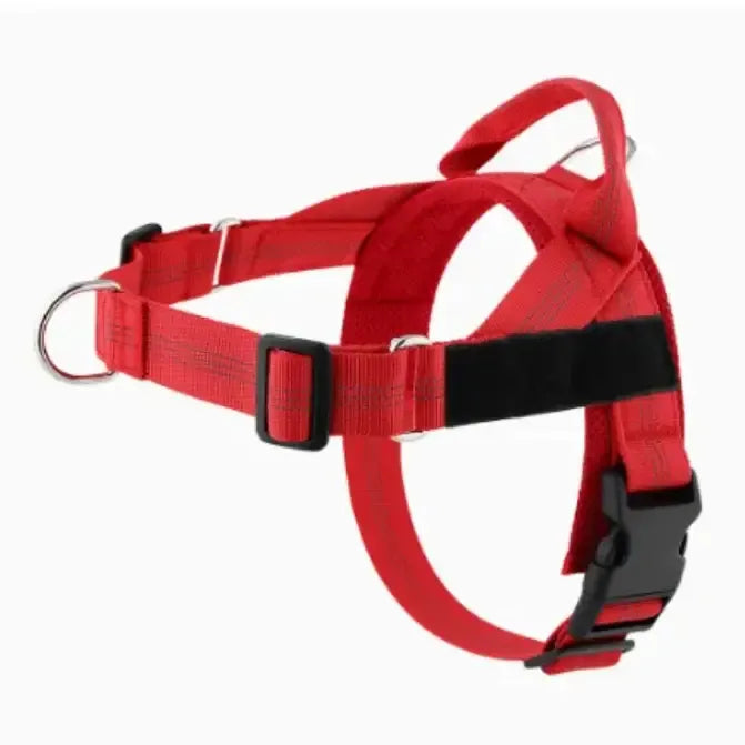 Personalized Adjustable Dog Harness & Leash Set | Custom Pet Walking Vest by TED