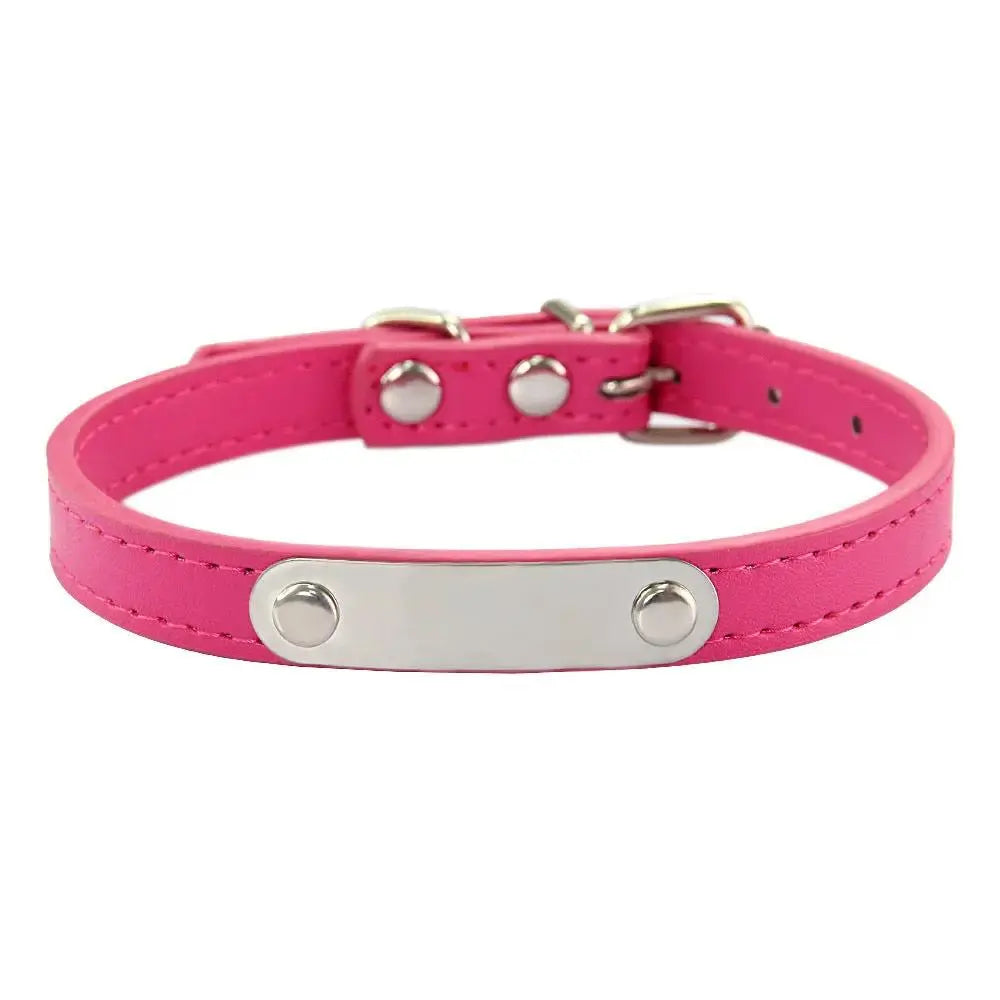 Personalized Engraved Pet Collar | Custom Name Collar for Dogs & Cats by TED