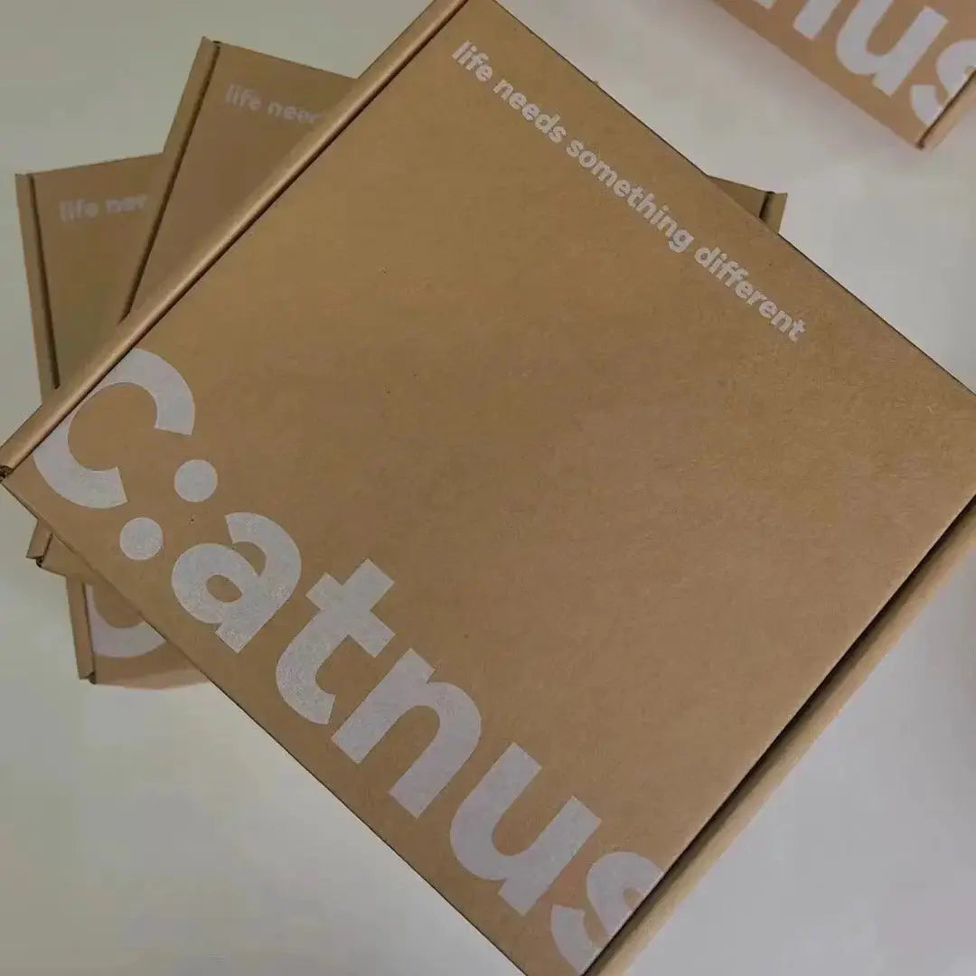 Personalized Kraft Shipping Box | Custom Logo Aircraft-Style Zipper Packaging Box by TED