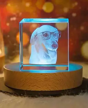 Personalized 3D Pet Keepsake – Custom Laser Engraved Gift by EPR