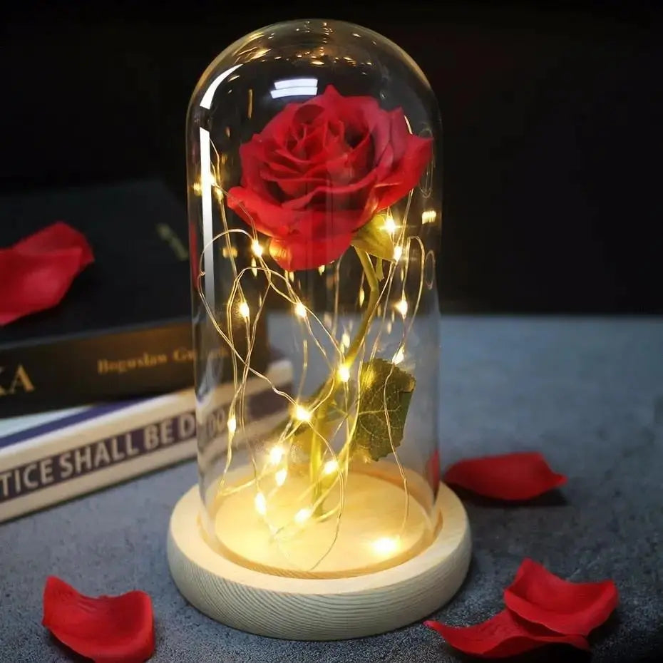 Forever Rose in Glass Dome with LED Lights | Romantic Valentine’s & Mother’s Day Gift by EPR