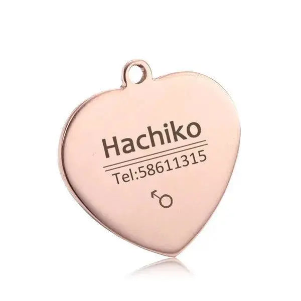 Personalized Stainless Steel Pet ID Tag | Custom Engraved Dog & Cat Name Tag by TED
