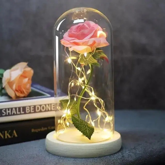 Forever Rose in Glass Dome with LED Lights | Romantic Valentine’s & Mother’s Day Gift by EPR