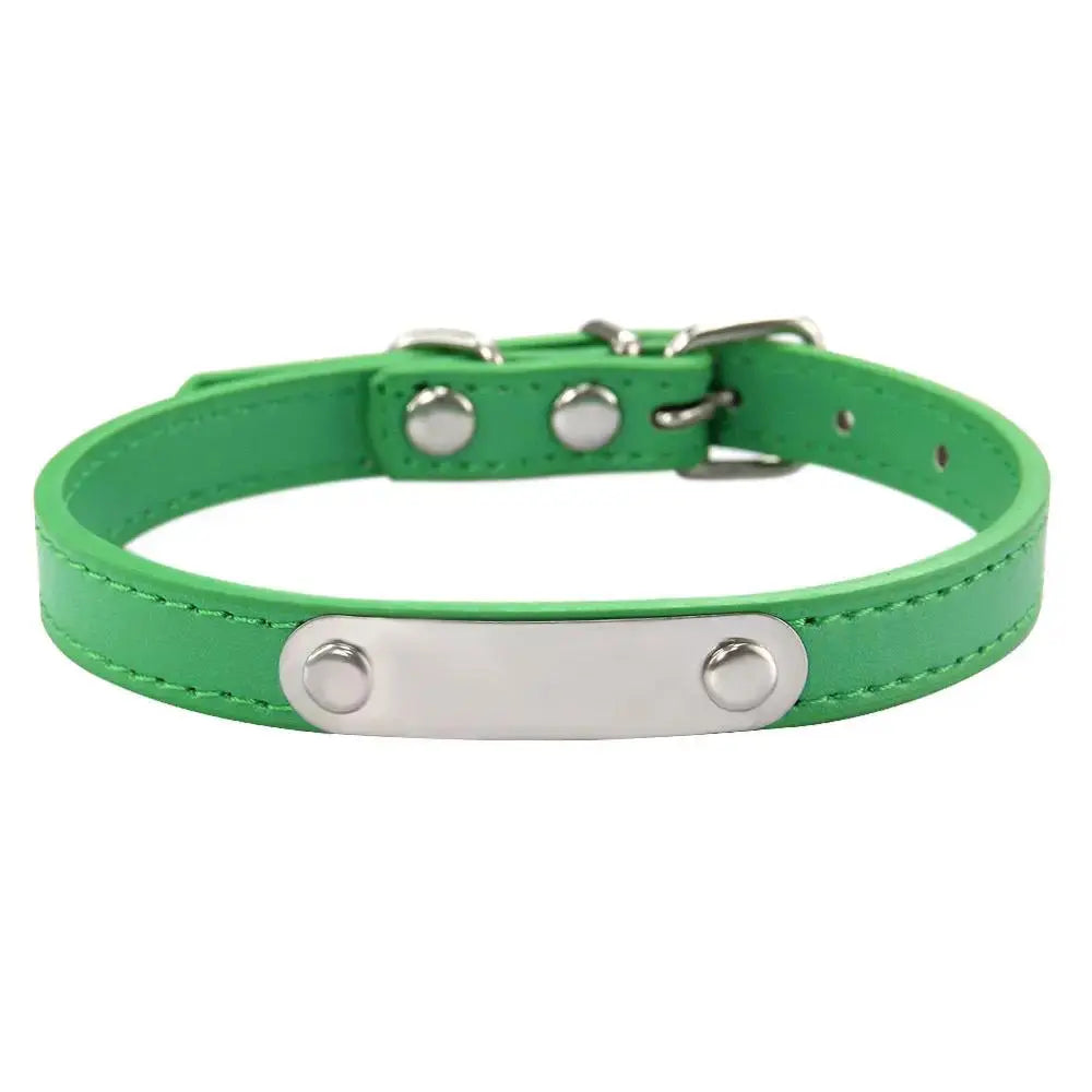 Personalized Engraved Pet Collar | Custom Name Collar for Dogs & Cats by TED