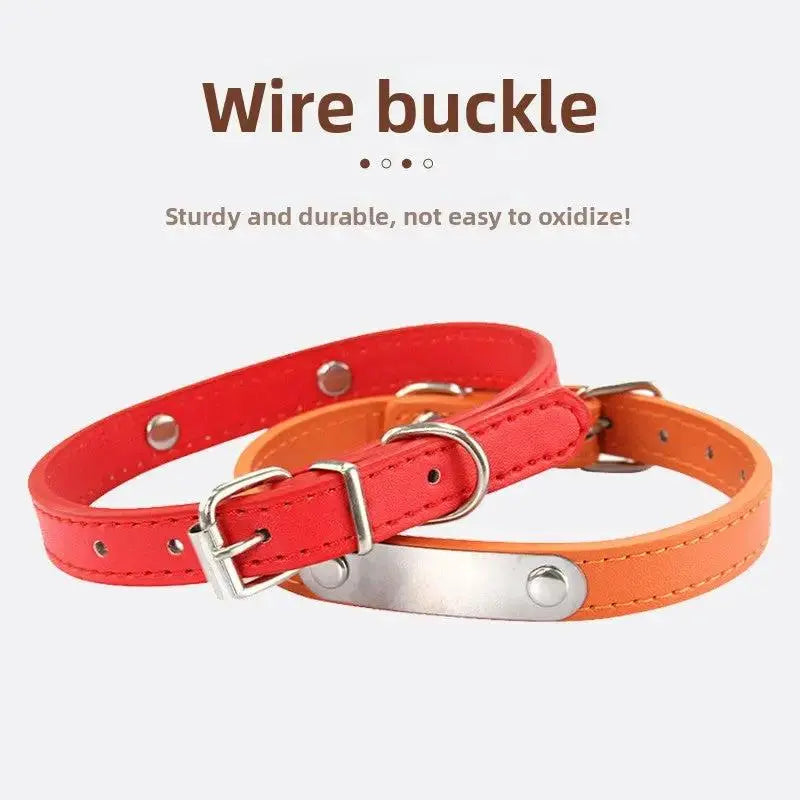 Personalized Engraved Pet Collar | Custom Name Collar for Dogs & Cats by TED