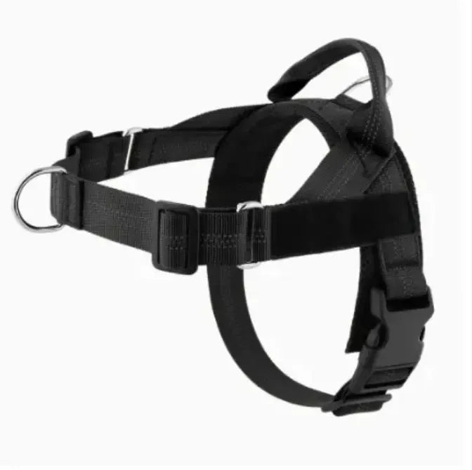 Personalized Adjustable Dog Harness & Leash Set | Custom Pet Walking Vest by TED