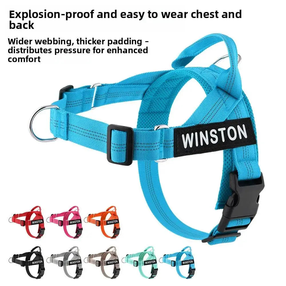 Personalized Adjustable Dog Harness & Leash Set | Custom Pet Walking Vest by TED