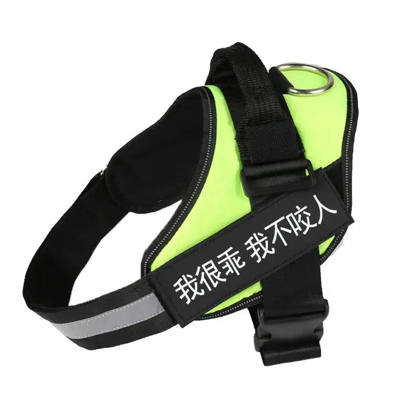Personalized K9 Pet Harness & Leash | Custom Adjustable Nylon Dog Walking Gear by TED