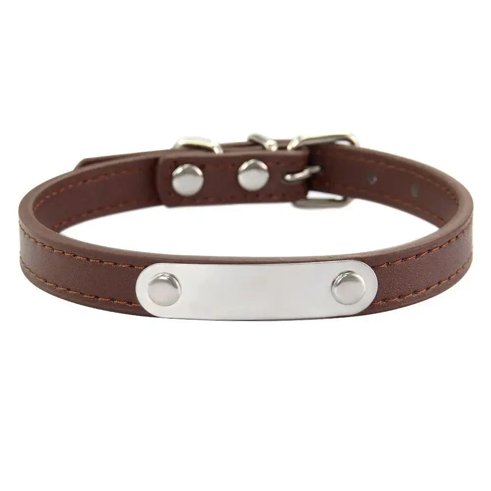 Personalized Engraved Pet Collar | Custom Name Collar for Dogs & Cats by TED