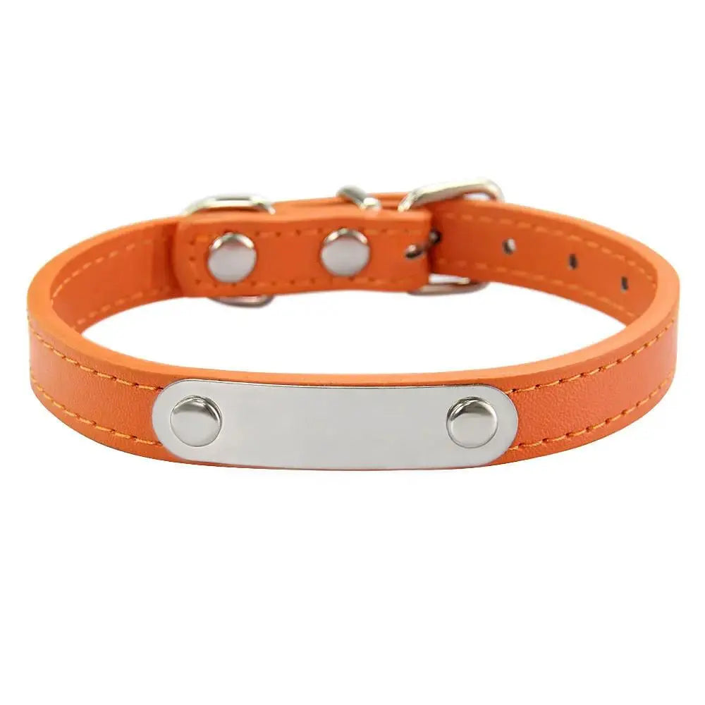 Personalized Engraved Pet Collar | Custom Name Collar for Dogs & Cats by TED