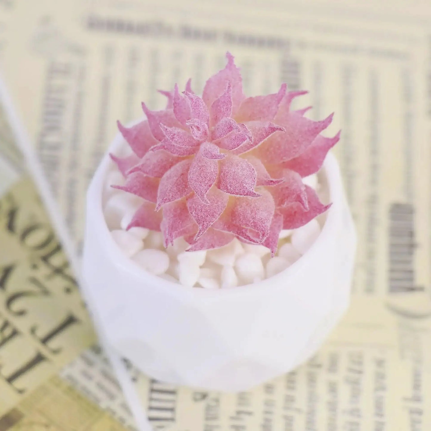Mini Artificial Succulent Plant | Realistic Faux Desktop Home & Office Decor by TED