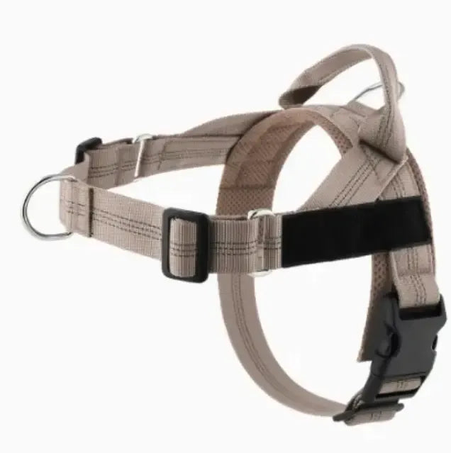 Personalized Adjustable Dog Harness & Leash Set | Custom Pet Walking Vest by TED
