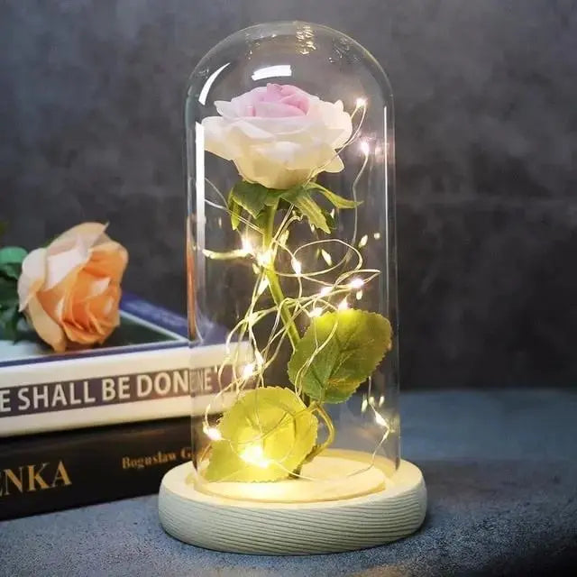 Forever Rose in Glass Dome with LED Lights | Romantic Valentine’s & Mother’s Day Gift by EPR