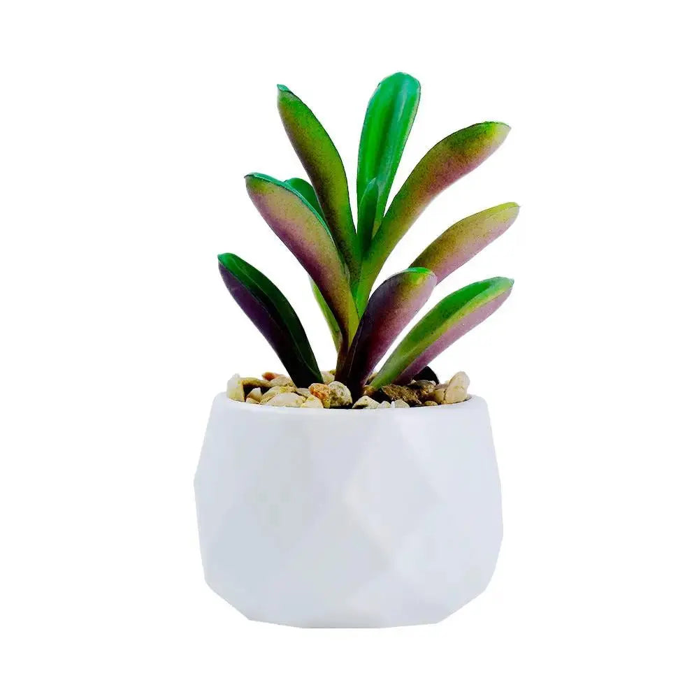 Mini Artificial Succulent Plant | Realistic Faux Desktop Home & Office Decor by TED