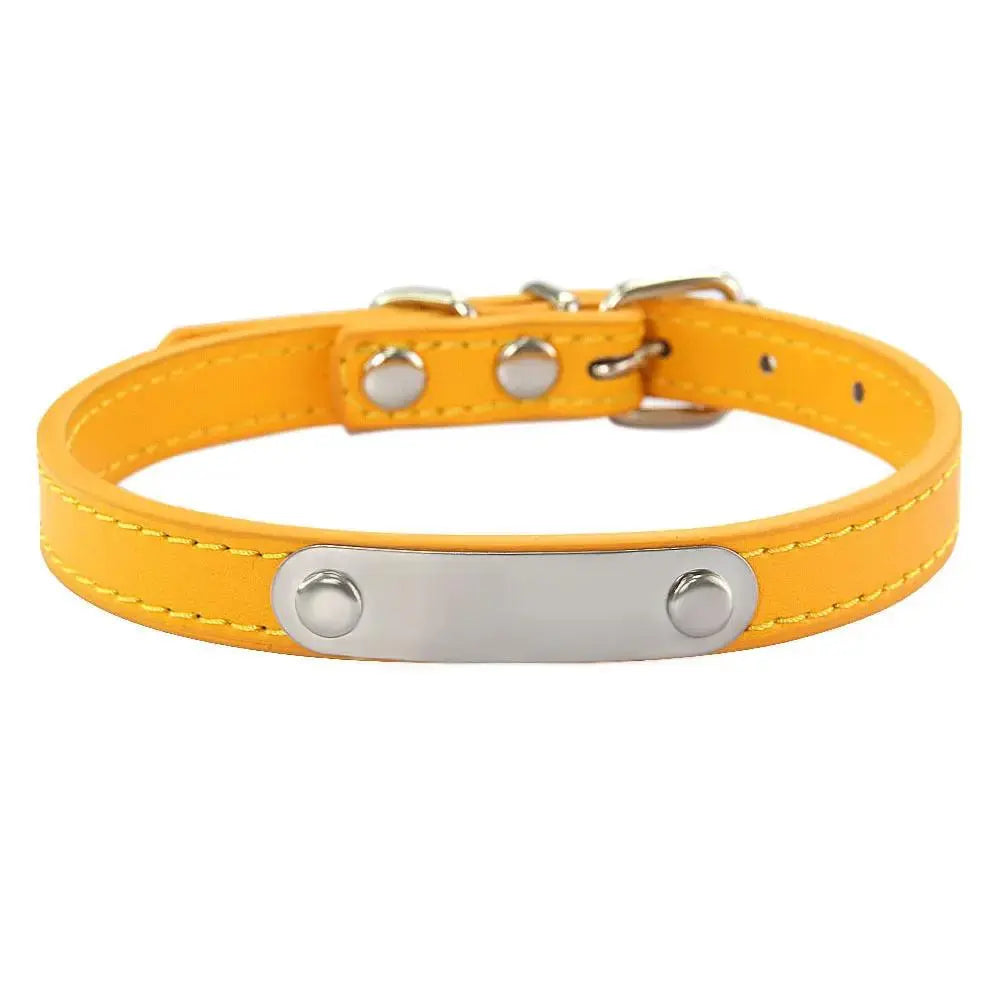 Personalized Engraved Pet Collar | Custom Name Collar for Dogs & Cats by TED