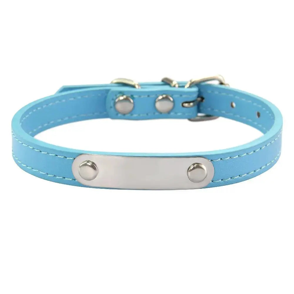 Personalized Engraved Pet Collar | Custom Name Collar for Dogs & Cats by TED