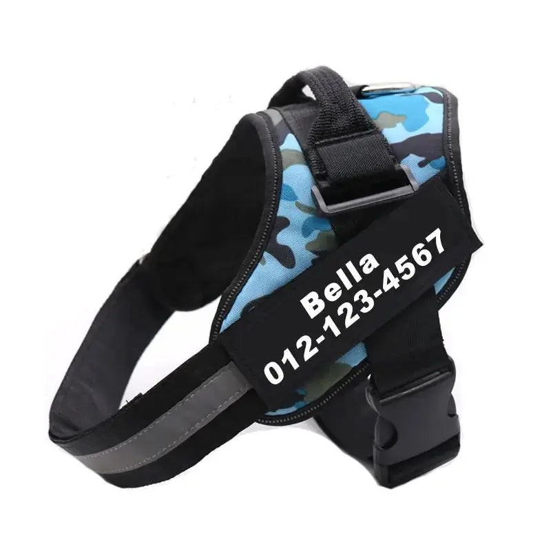 Personalized K9 Pet Harness & Leash | Custom Adjustable Nylon Dog Walking Gear by TED