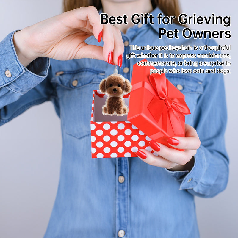Pet Memorial Keychain Gift DIY Keepsake Box - Cherished Harbor Gifts