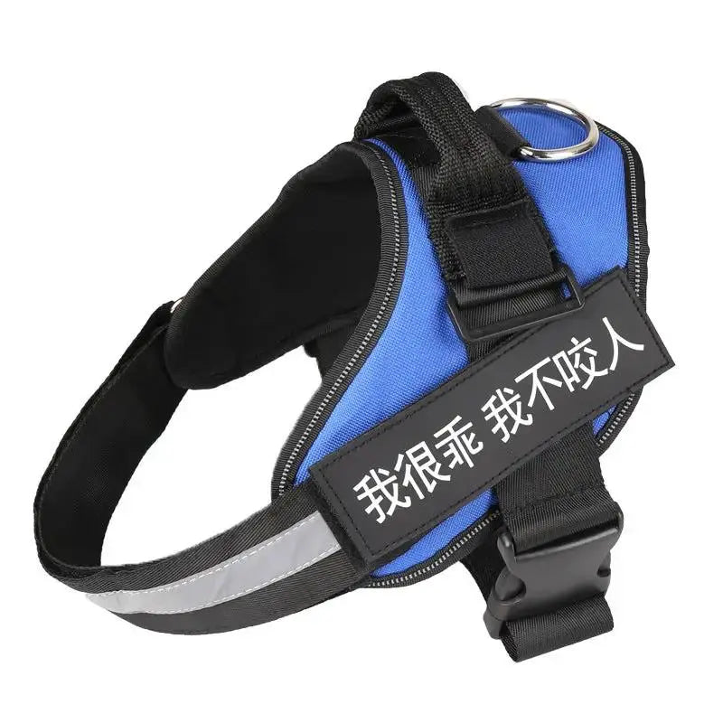 Personalized K9 Pet Harness & Leash | Custom Adjustable Nylon Dog Walking Gear by TED