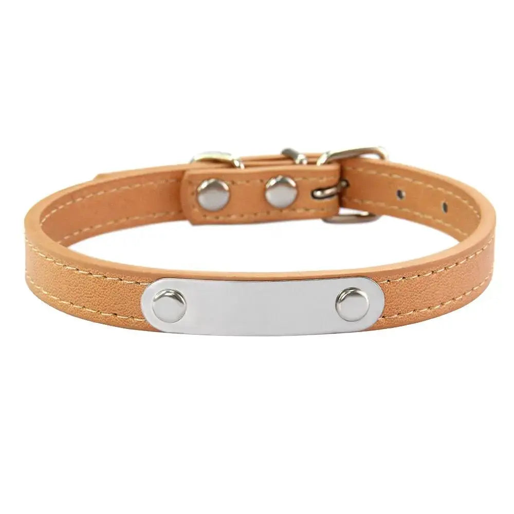 Personalized Engraved Pet Collar | Custom Name Collar for Dogs & Cats by TED