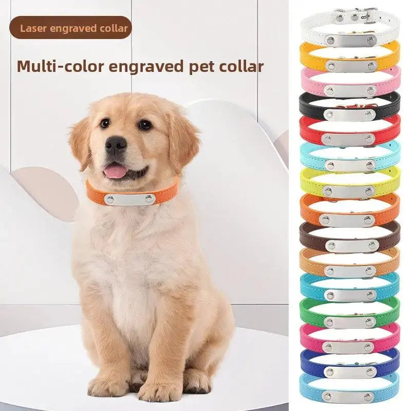 Personalized Engraved Pet Collar | Custom Name Collar for Dogs & Cats by TED