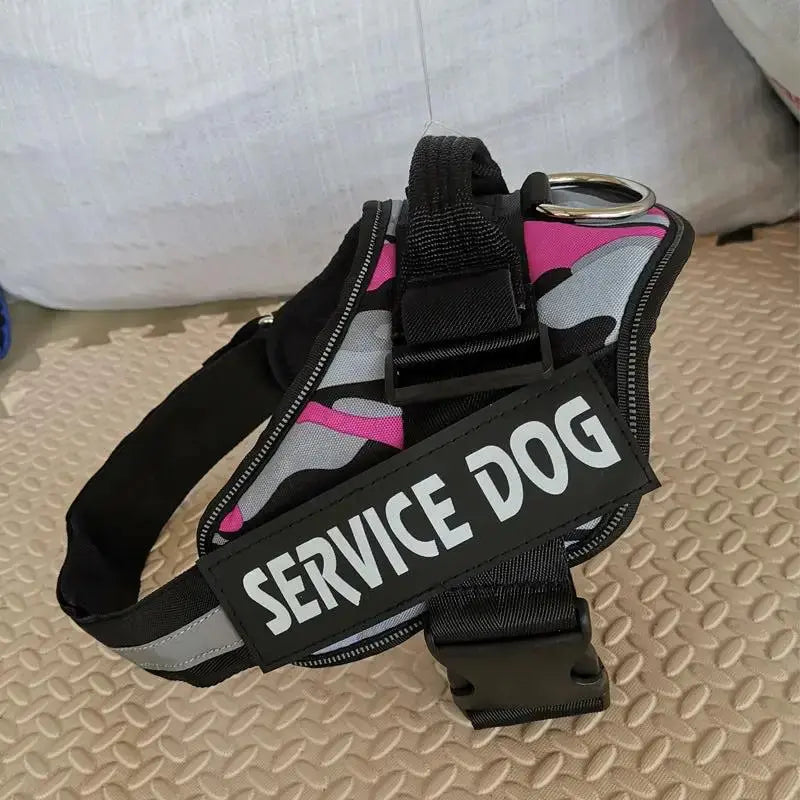 Personalized K9 Pet Harness & Leash | Custom Adjustable Nylon Dog Walking Gear by TED