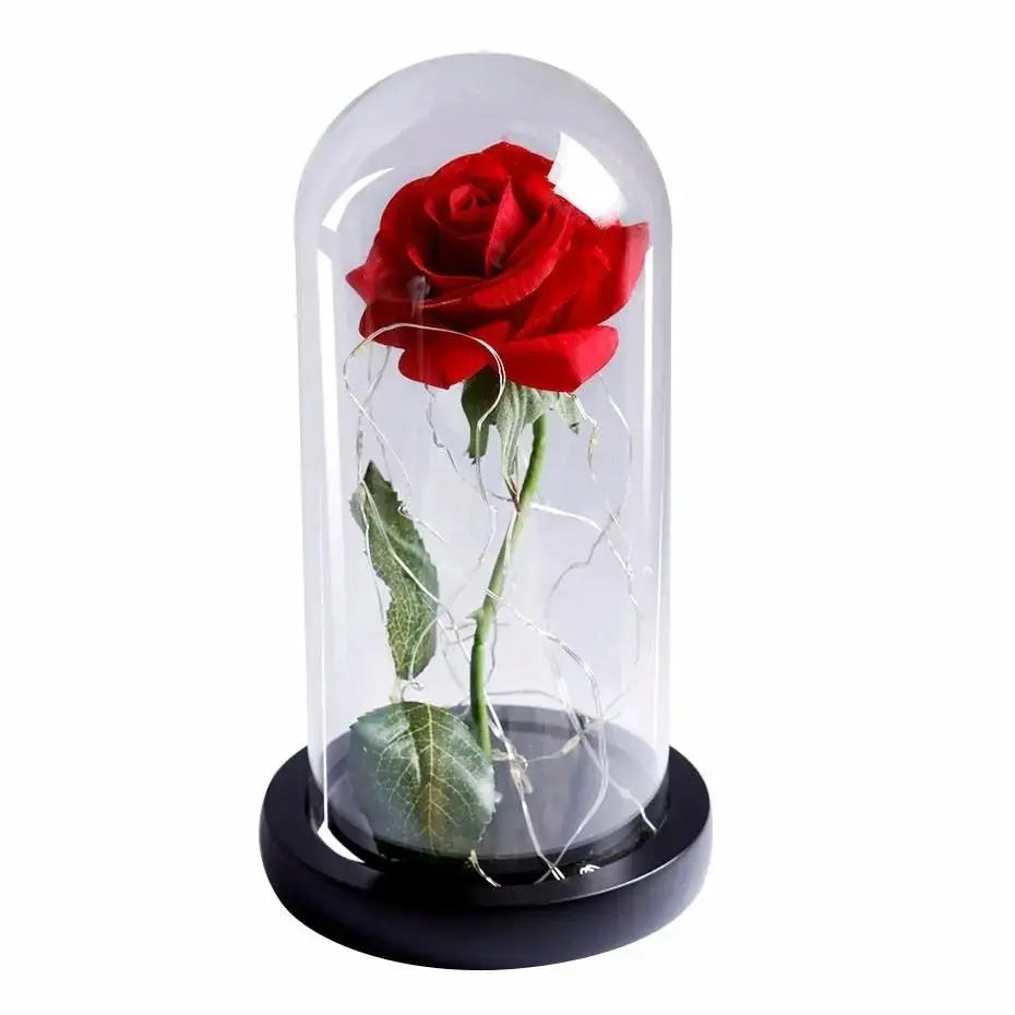 Forever Rose in Glass Dome with LED Lights | Romantic Valentine’s & Mother’s Day Gift by EPR