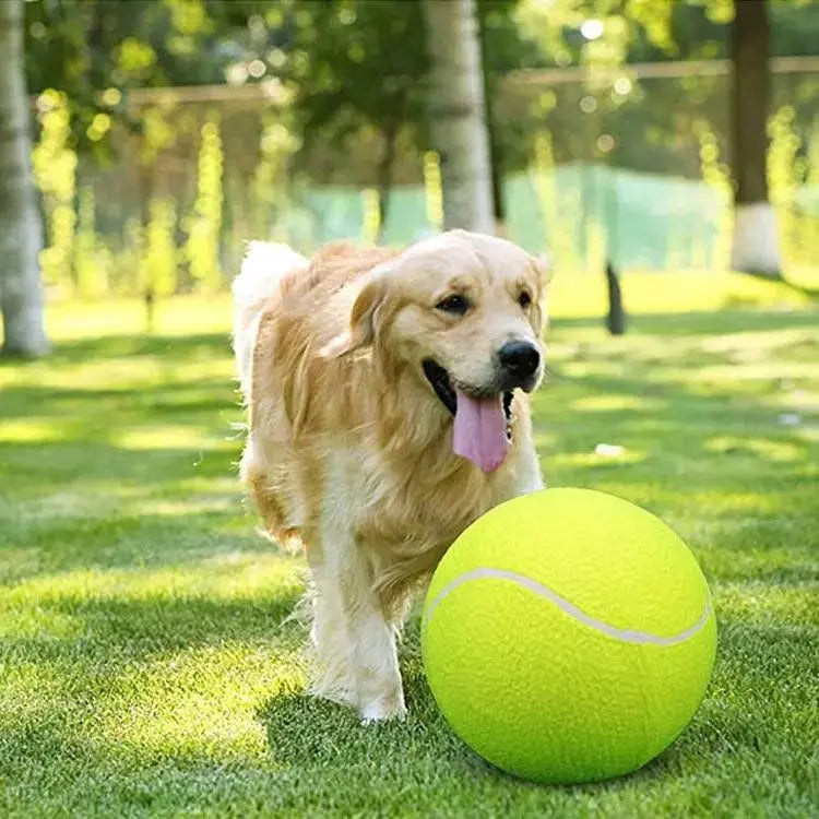 Giant Inflatable Tennis Ball for Outdoor Play and Fun by TED