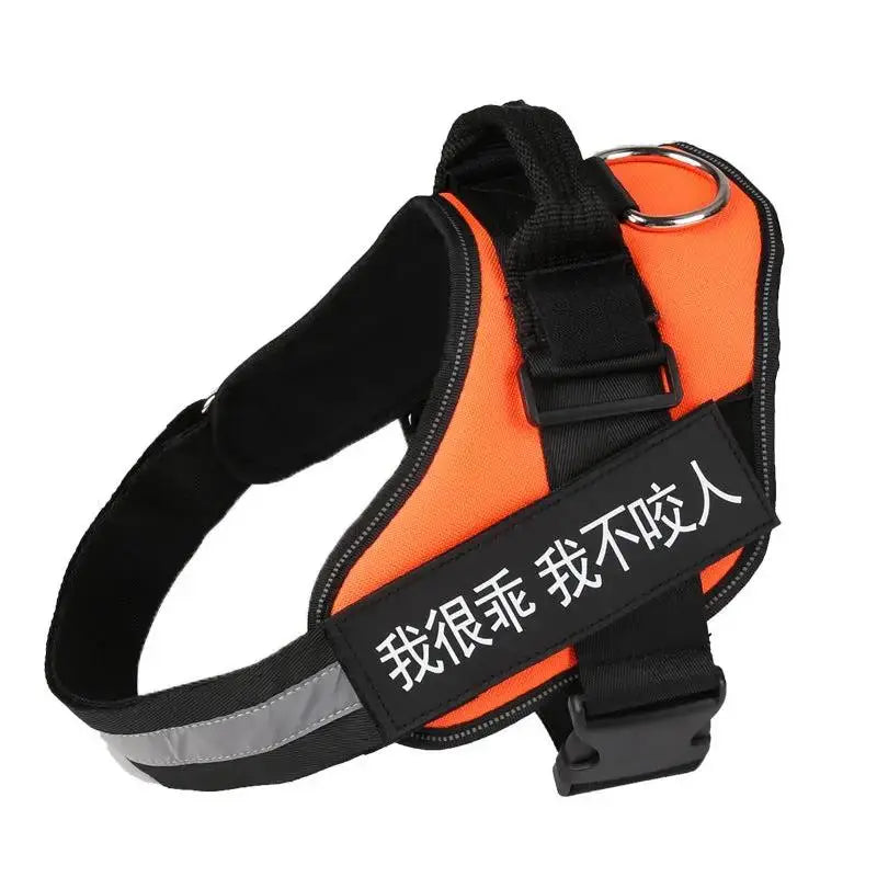 Personalized K9 Pet Harness & Leash | Custom Adjustable Nylon Dog Walking Gear by TED