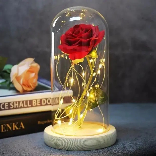 Forever Rose in Glass Dome with LED Lights | Romantic Valentine’s & Mother’s Day Gift by EPR