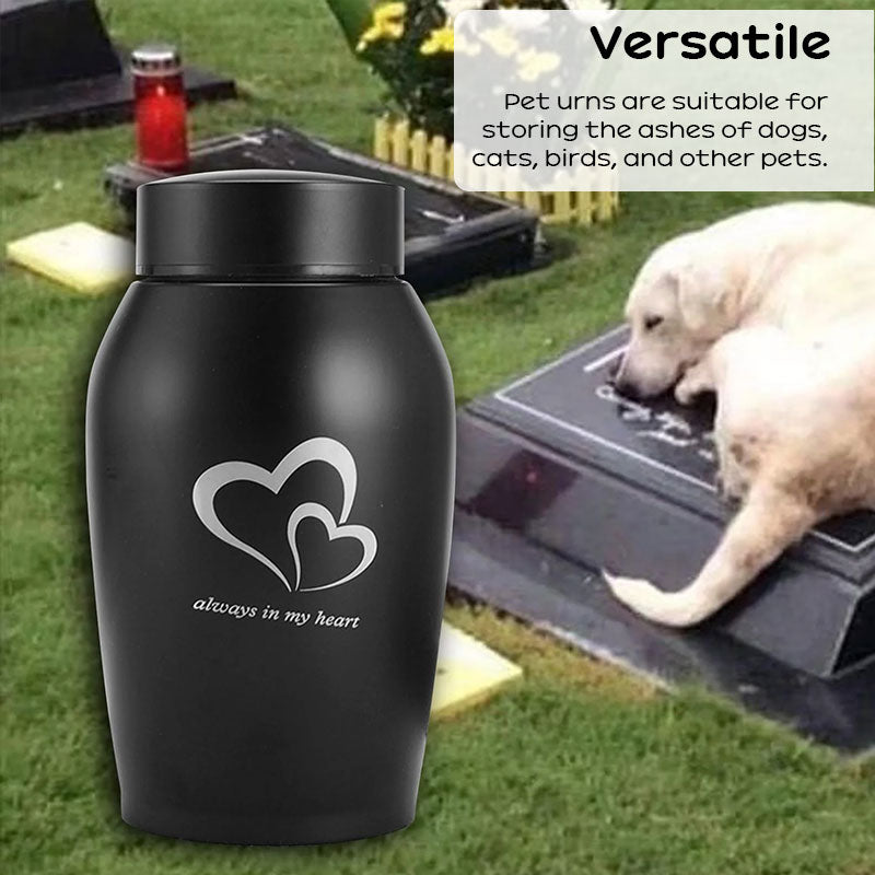 Stainless Steel Pet Urn for Small Pet Ashes - Cherished Harbor Gifts