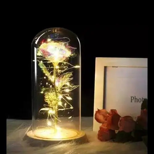 Forever Rose in Glass Dome with LED Lights | Romantic Valentine’s & Mother’s Day Gift by EPR