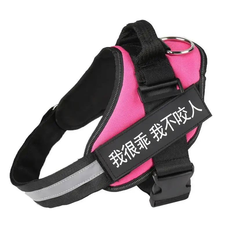 Personalized K9 Pet Harness & Leash | Custom Adjustable Nylon Dog Walking Gear by TED