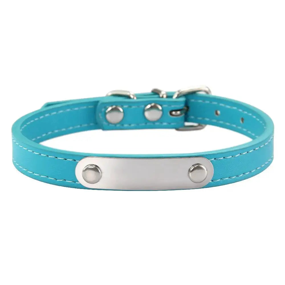 Personalized Engraved Pet Collar | Custom Name Collar for Dogs & Cats by TED