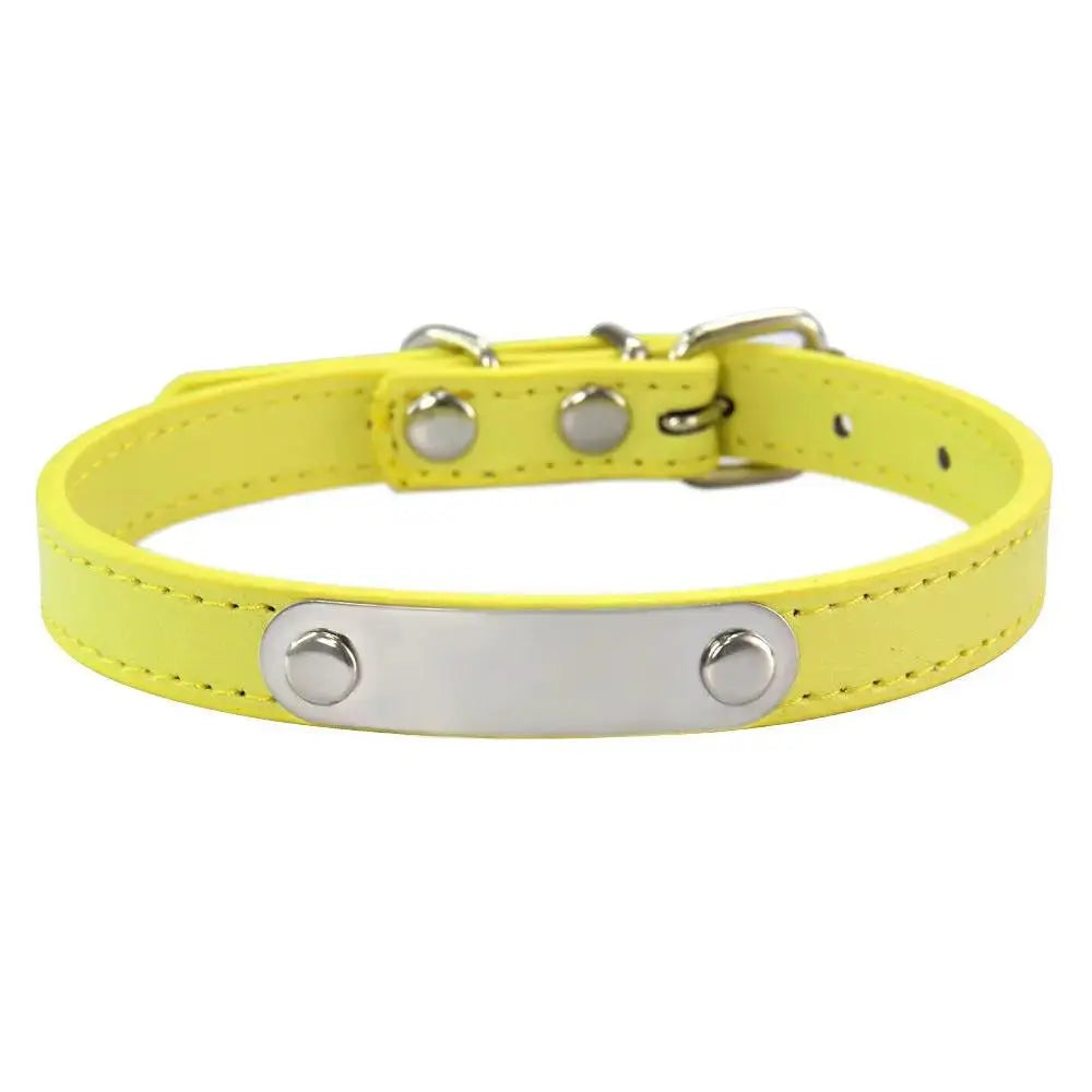 Personalized Engraved Pet Collar | Custom Name Collar for Dogs & Cats by TED