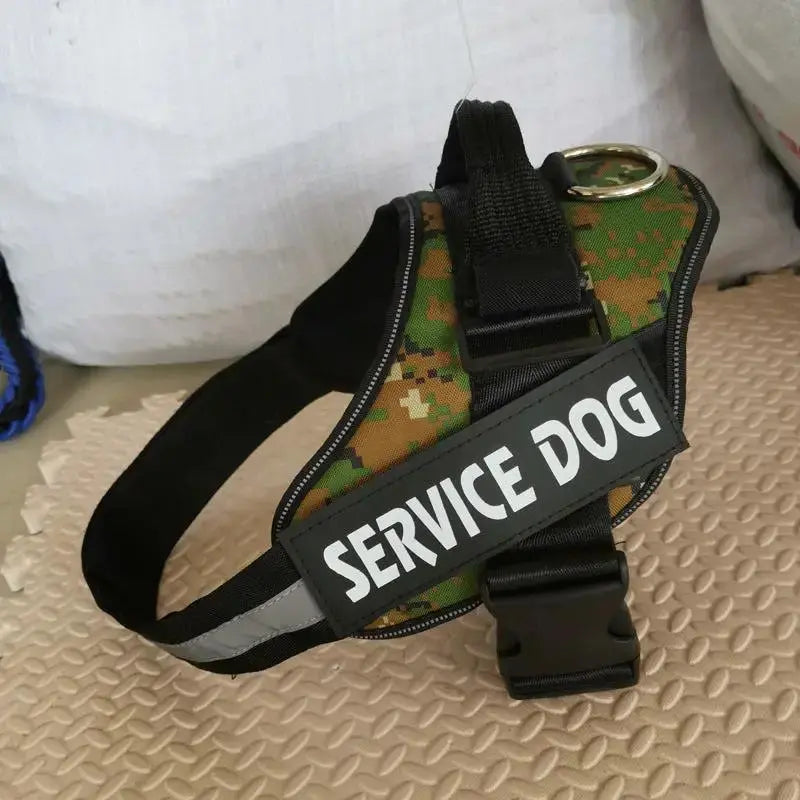 Personalized K9 Pet Harness & Leash | Custom Adjustable Nylon Dog Walking Gear by TED