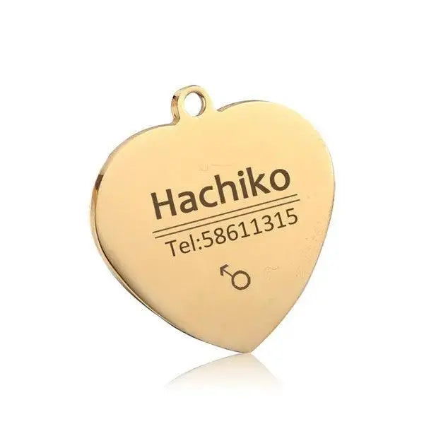 Personalized Stainless Steel Pet ID Tag | Custom Engraved Dog & Cat Name Tag by TED