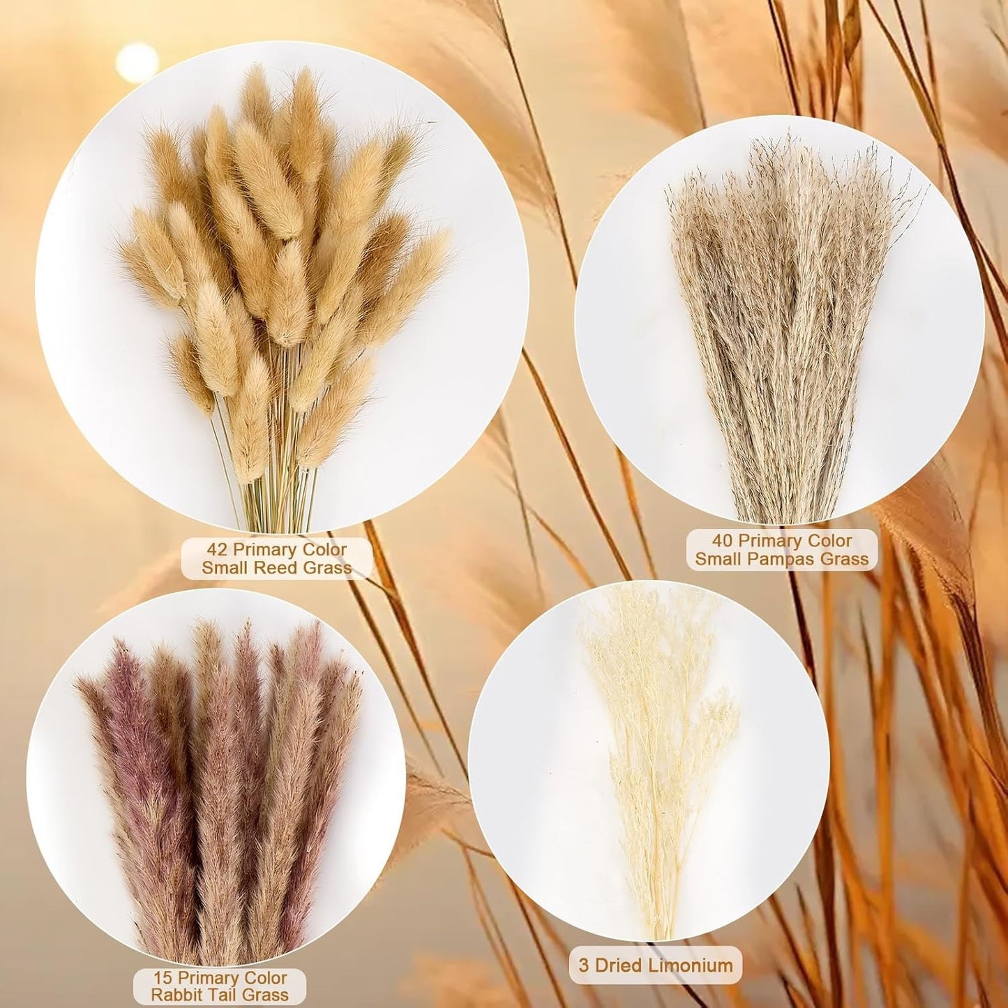 Natural Dried Flower Bouquet for Home and Wedding Decor - Cherished Harbor Gifts