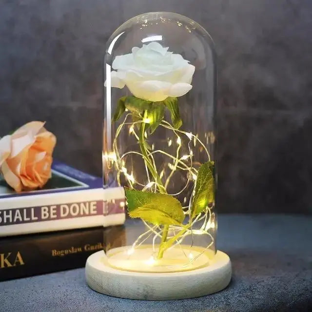 Forever Rose in Glass Dome with LED Lights | Romantic Valentine’s & Mother’s Day Gift by EPR