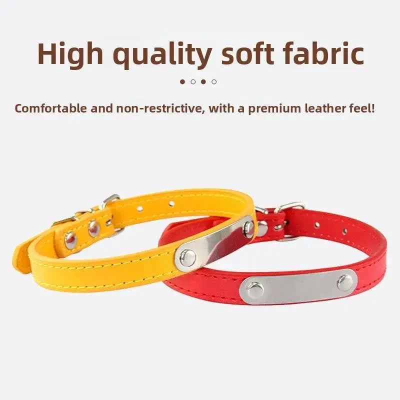 Personalized Engraved Pet Collar | Custom Name Collar for Dogs & Cats by TED