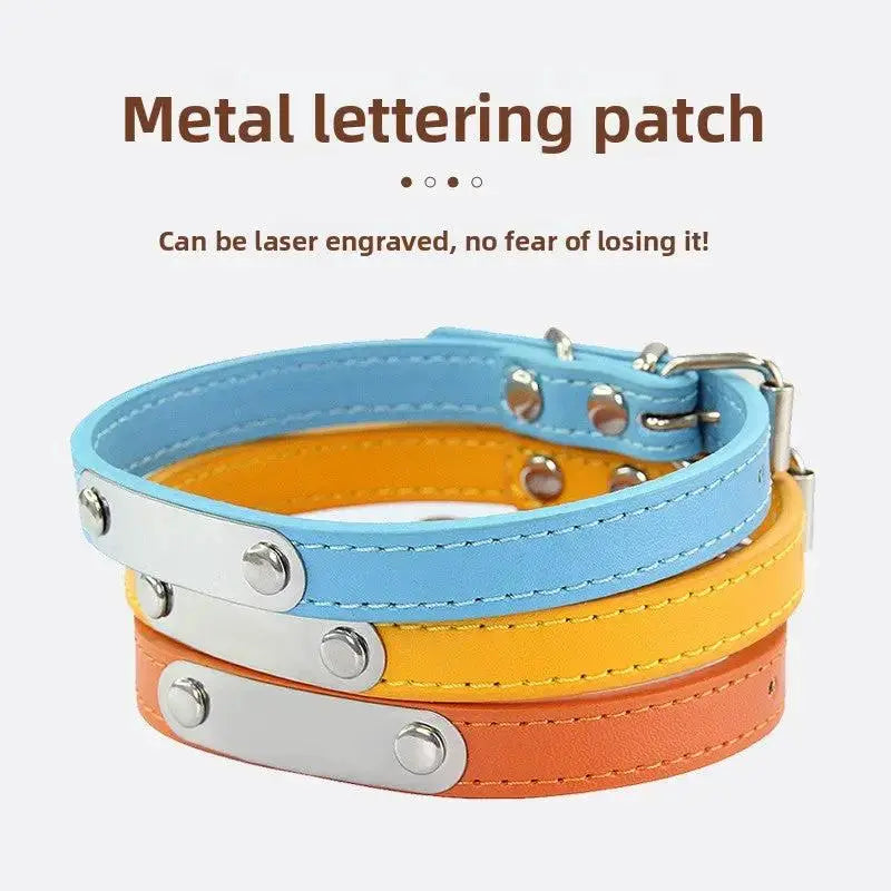 Personalized Engraved Pet Collar | Custom Name Collar for Dogs & Cats by TED