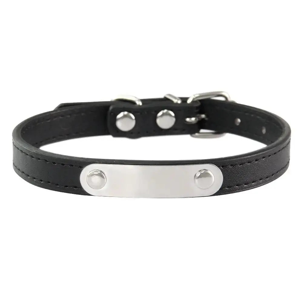 Personalized Engraved Pet Collar | Custom Name Collar for Dogs & Cats by TED