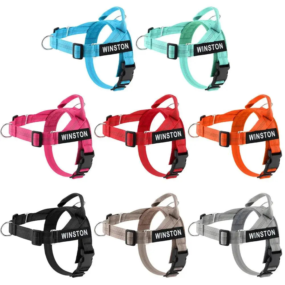 Personalized Adjustable Dog Harness & Leash Set | Custom Pet Walking Vest by TED